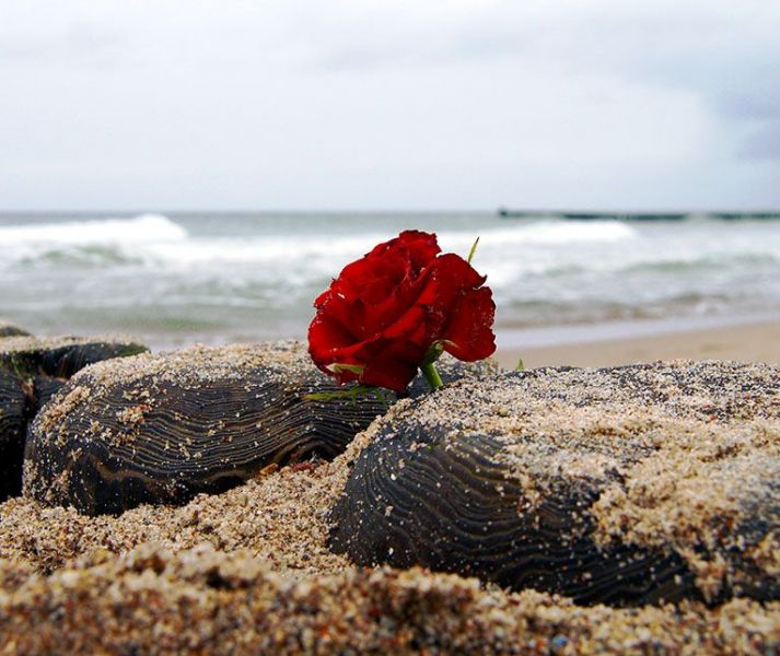 Seebestattungen durch Fritz Hartmann Bestattungsinstitut e.K. aus Oldenburg